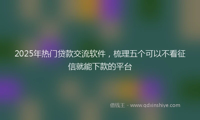 2025年热门贷款交流软件，梳理五个可以不看征信就能下款的平台