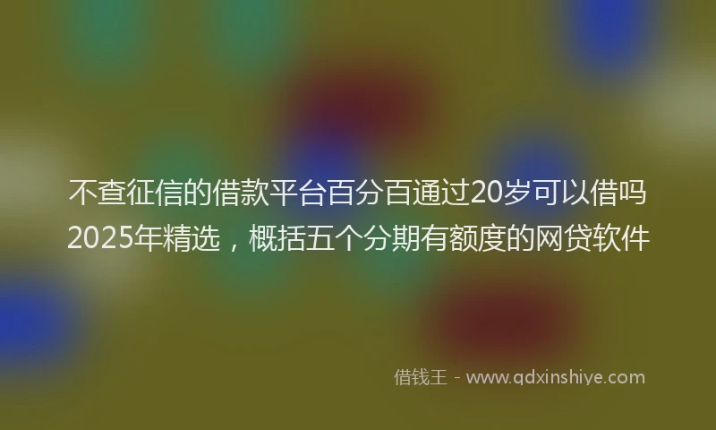 不查征信的借款平台百分百通过20岁可以借吗2025年精选，概括五个分期有额度的网贷软件