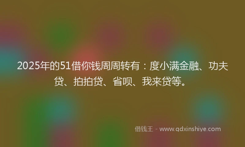 2025年的51借你钱周周转有：度小满金融、功夫贷、拍拍贷、省呗、我来贷等。
