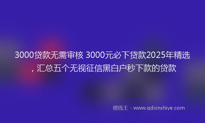 3000贷款无需审核 3000元必下贷款2025年精选，汇总五个无视征信黑白户秒下款的贷款