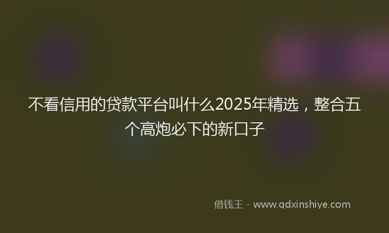 不看信用的贷款平台叫什么2025年精选，整合五个高炮必下的新口子