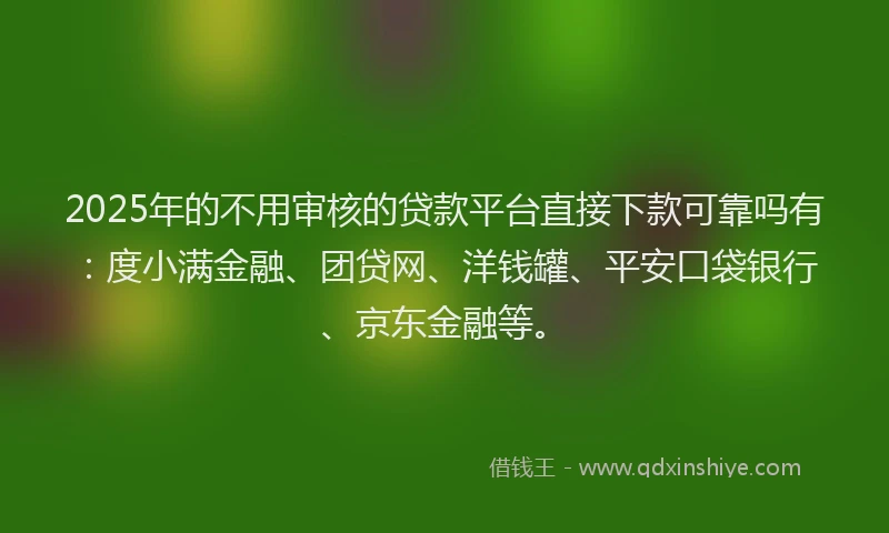 2025年的不用审核的贷款平台直接下款可靠吗有：度小满金融、团贷网、洋钱罐、平安口袋银行、京东金融等。
