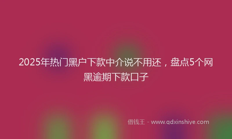 2025年热门黑户下款中介说不用还，盘点5个网黑逾期下款口子