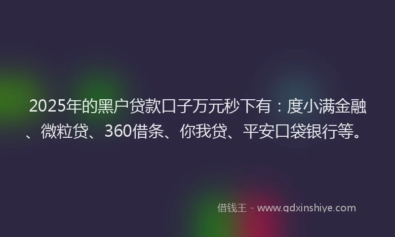 2025年的黑户贷款口子万元秒下有：度小满金融、微粒贷、360借条、你我贷、平安口袋银行等。