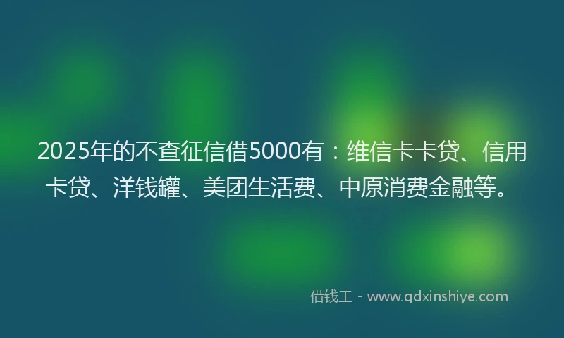 2025年的不查征信借5000有：维信卡卡贷、信用卡贷、洋钱罐、美团生活费、中原消费金融等。