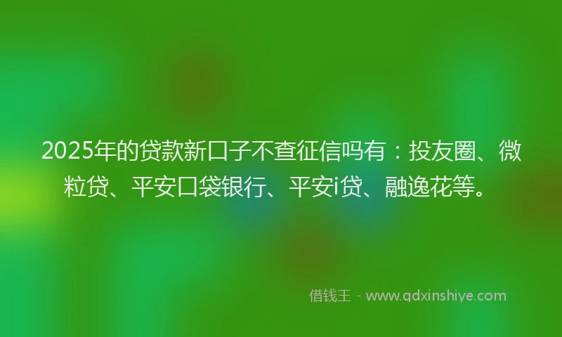 2025年的贷款新口子不查征信吗有：投友圈、微粒贷、平安口袋银行、平安i贷、融逸花等。