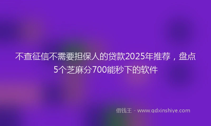 不查征信不需要担保人的贷款2025年推荐，盘点5个芝麻分700能秒下的软件