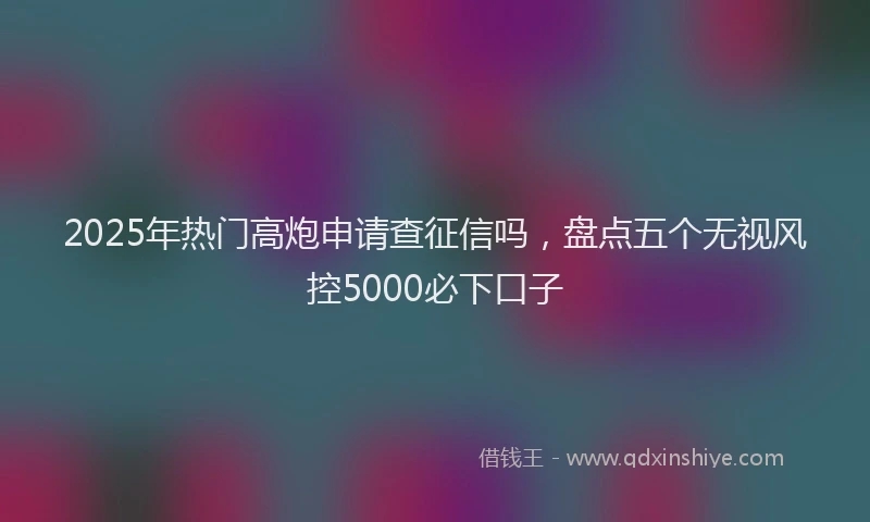2025年热门高炮申请查征信吗，盘点五个无视风控5000必下口子