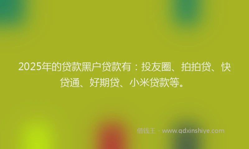 2025年的贷款黑户贷款有：投友圈、拍拍贷、快贷通、好期贷、小米贷款等。