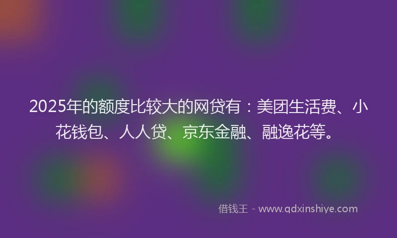 2025年的额度比较大的网贷有：美团生活费、小花钱包、人人贷、京东金融、融逸花等。