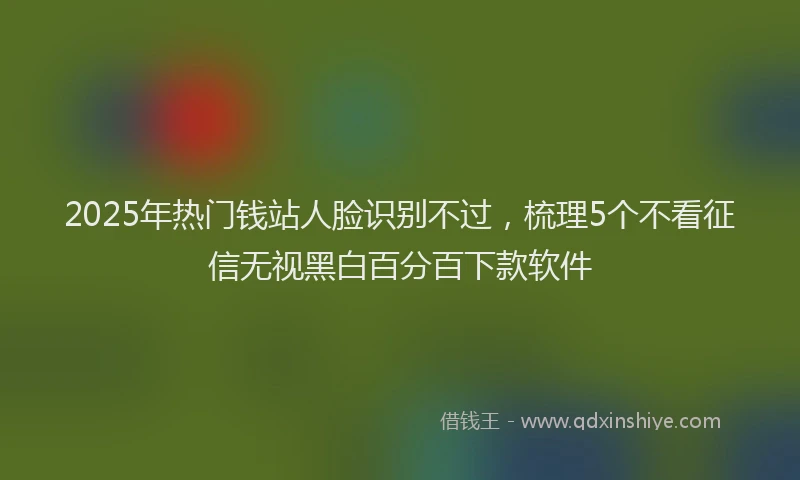2025年热门钱站人脸识别不过，梳理5个不看征信无视黑白百分百下款软件