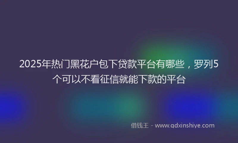 2025年热门黑花户包下贷款平台有哪些，罗列5个可以不看征信就能下款的平台