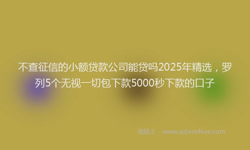 不查征信的小额贷款公司能贷吗2025年精选，罗列5个无视一切包下款5000秒下款的口子