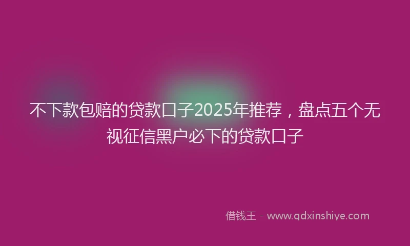 不下款包赔的贷款口子2025年推荐，盘点五个无视征信黑户必下的贷款口子