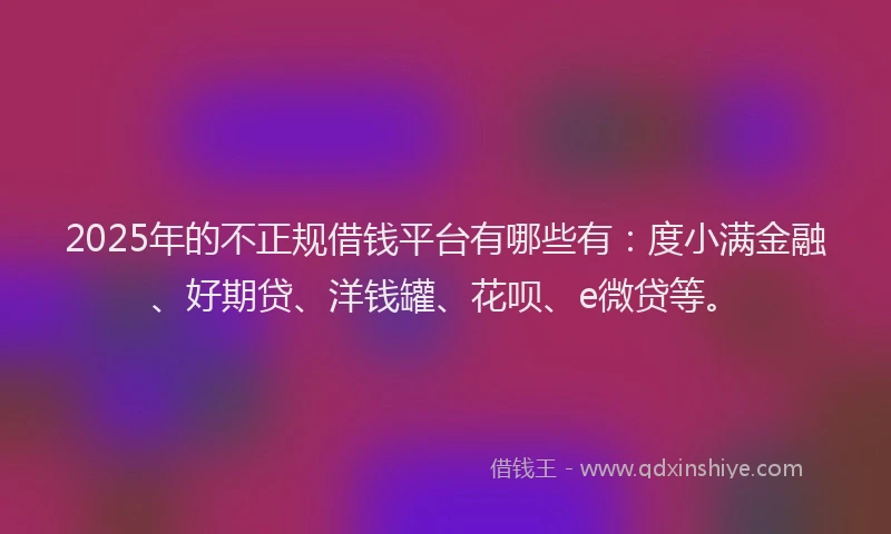 2025年的不正规借钱平台有哪些有：度小满金融、好期贷、洋钱罐、花呗、e微贷等。