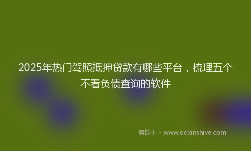2025年热门驾照抵押贷款有哪些平台，梳理五个不看负债查询的软件