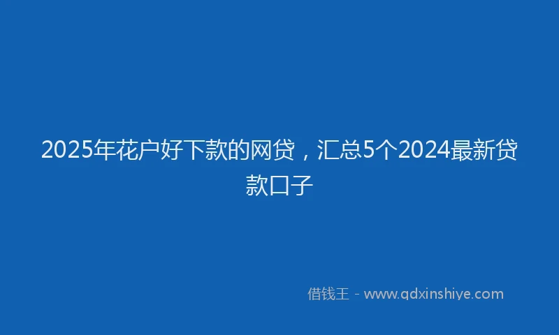 2025年花户好下款的网贷，汇总5个2024最新贷款口子