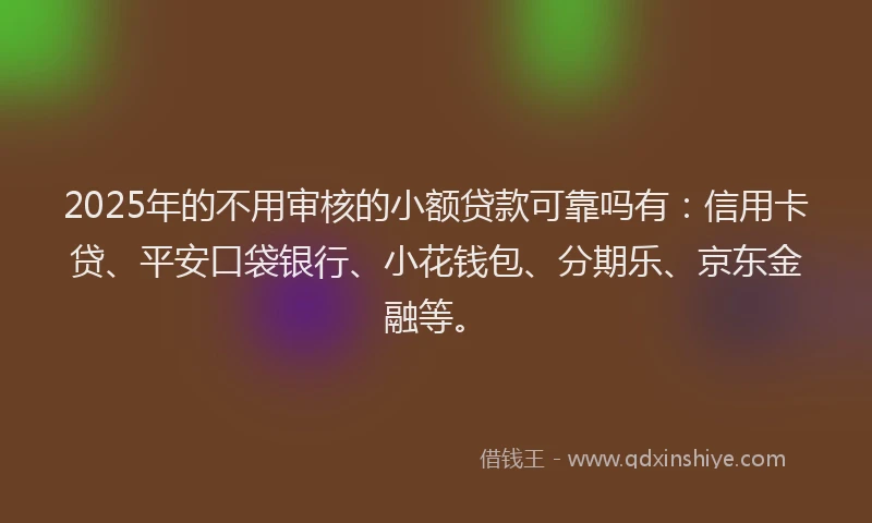 2025年的不用审核的小额贷款可靠吗有：信用卡贷、平安口袋银行、小花钱包、分期乐、京东金融等。