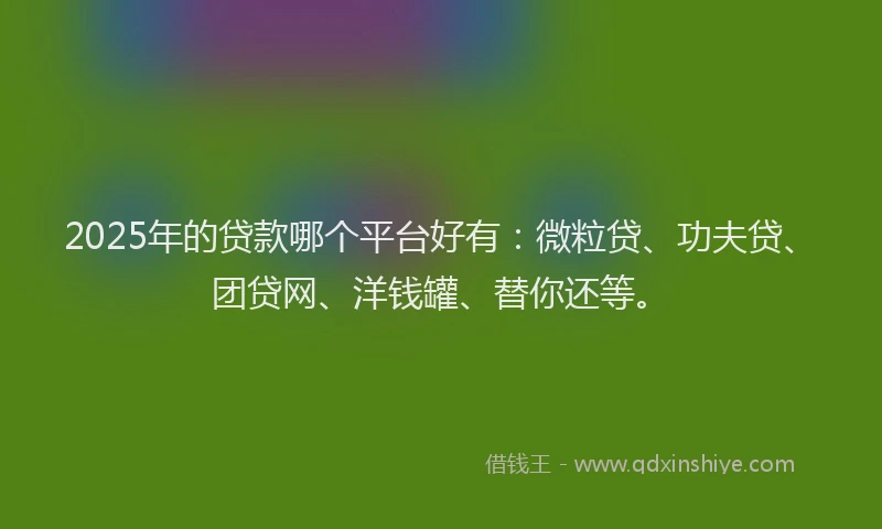 2025年的贷款哪个平台好有：微粒贷、功夫贷、团贷网、洋钱罐、替你还等。