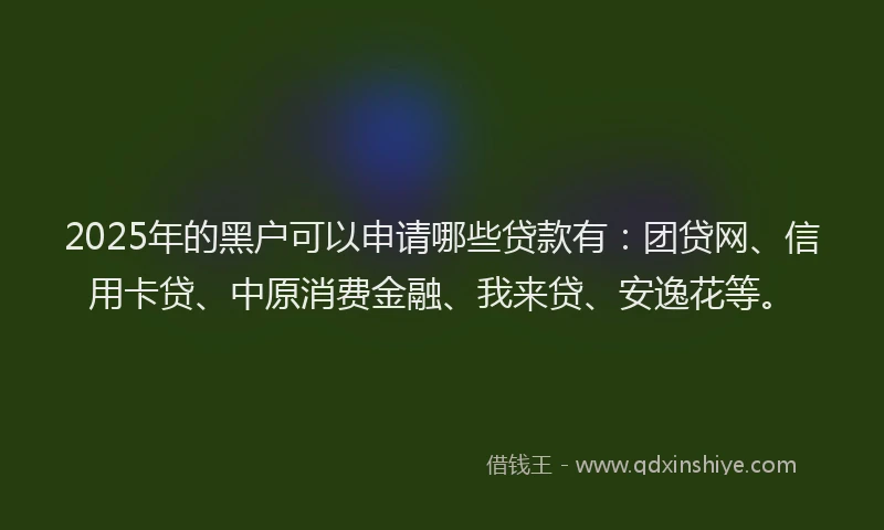 2025年的黑户可以申请哪些贷款有：团贷网、信用卡贷、中原消费金融、我来贷、安逸花等。