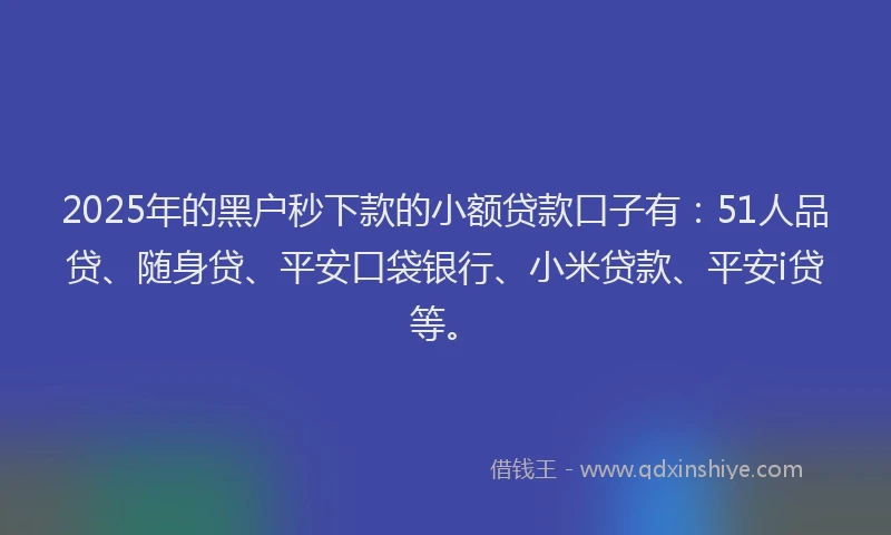 2025年的黑户秒下款的小额贷款口子有：51人品贷、随身贷、平安口袋银行、小米贷款、平安i贷等。