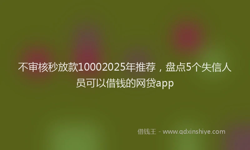 不审核秒放款10002025年推荐，盘点5个失信人员可以借钱的网贷app