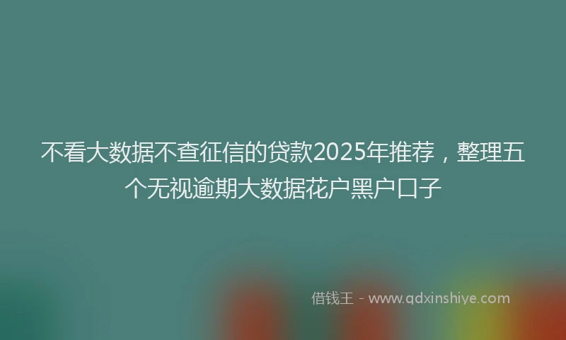 不看大数据不查征信的贷款2025年推荐，整理五个无视逾期大数据花户黑户口子