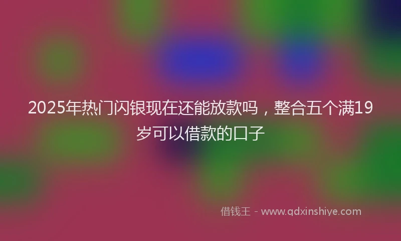2025年热门闪银现在还能放款吗，整合五个满19岁可以借款的口子