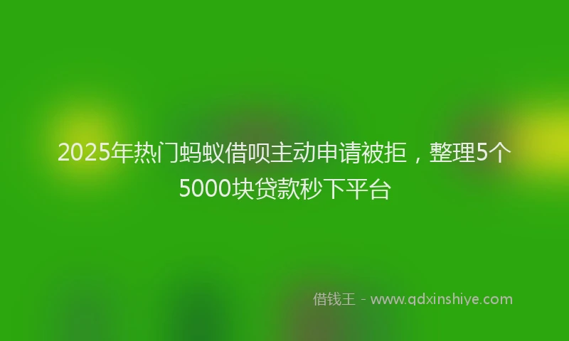 2025年热门蚂蚁借呗主动申请被拒，整理5个5000块贷款秒下平台