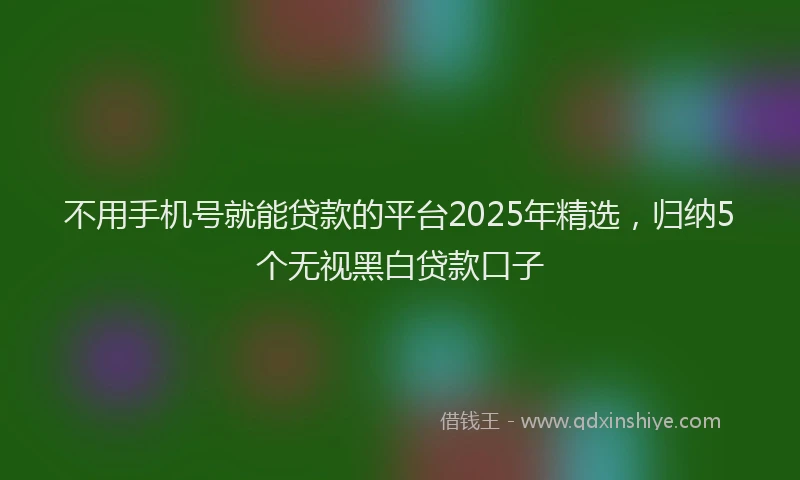 不用手机号就能贷款的平台2025年精选，归纳5个无视黑白贷款口子