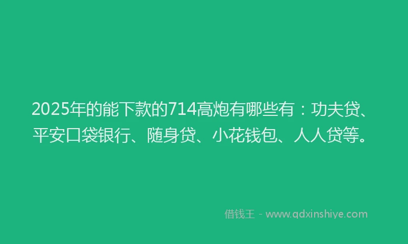 2025年的能下款的714高炮有哪些有：功夫贷、平安口袋银行、随身贷、小花钱包、人人贷等。