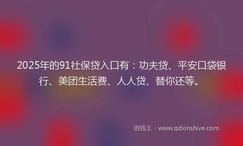 2025年的91社保贷入口有：功夫贷、平安口袋银行、美团生活费、人人贷、替你还等。