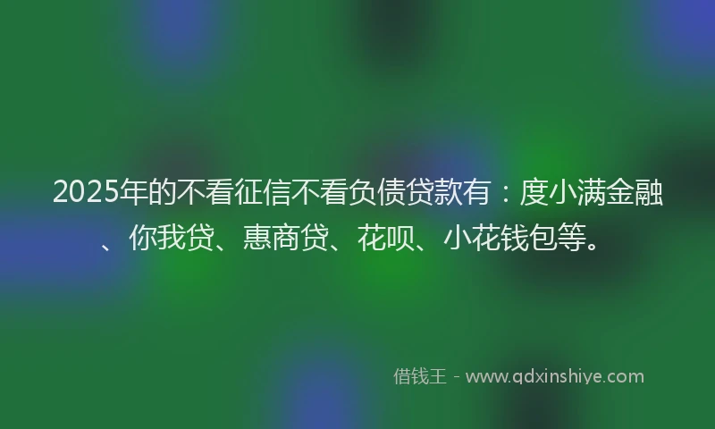 2025年的不看征信不看负债贷款有：度小满金融、你我贷、惠商贷、花呗、小花钱包等。