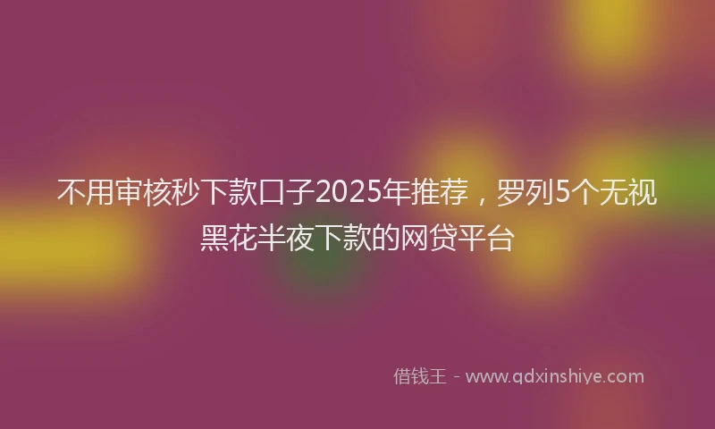 不用审核秒下款口子2025年推荐，罗列5个无视黑花半夜下款的网贷平台