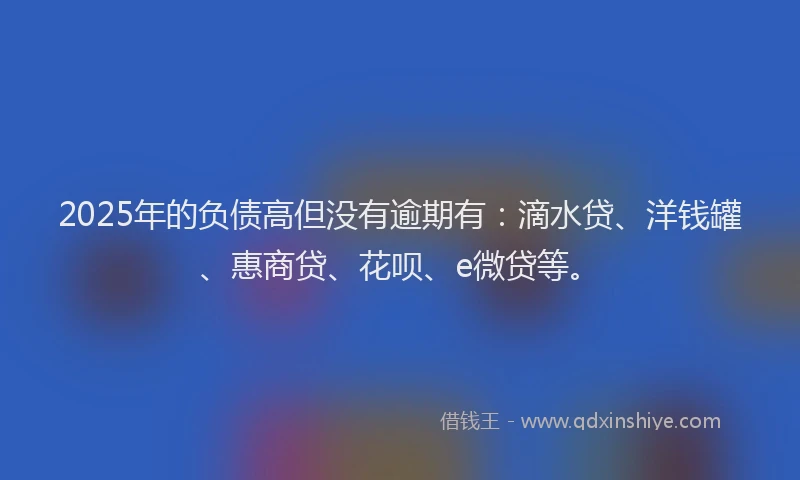2025年的负债高但没有逾期有：滴水贷、洋钱罐、惠商贷、花呗、e微贷等。