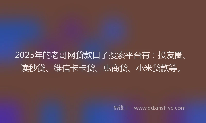 2025年的老哥网贷款口子搜索平台有：投友圈、读秒贷、维信卡卡贷、惠商贷、小米贷款等。