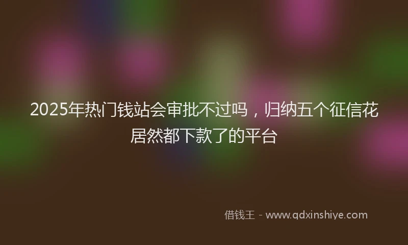 2025年热门钱站会审批不过吗，归纳五个征信花居然都下款了的平台