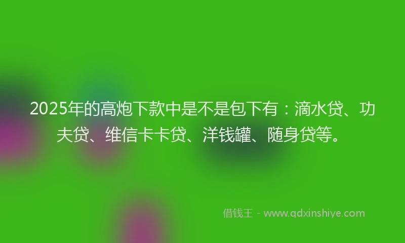 2025年的高炮下款中是不是包下有：滴水贷、功夫贷、维信卡卡贷、洋钱罐、随身贷等。