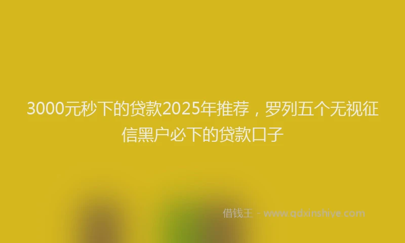 3000元秒下的贷款2025年推荐，罗列五个无视征信黑户必下的贷款口子