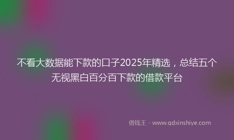 不看大数据能下款的口子2025年精选，总结五个无视黑白百分百下款的借款平台