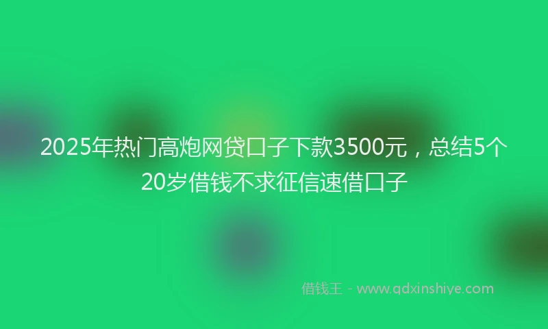 2025年热门高炮网贷口子下款3500元，总结5个20岁借钱不求征信速借口子