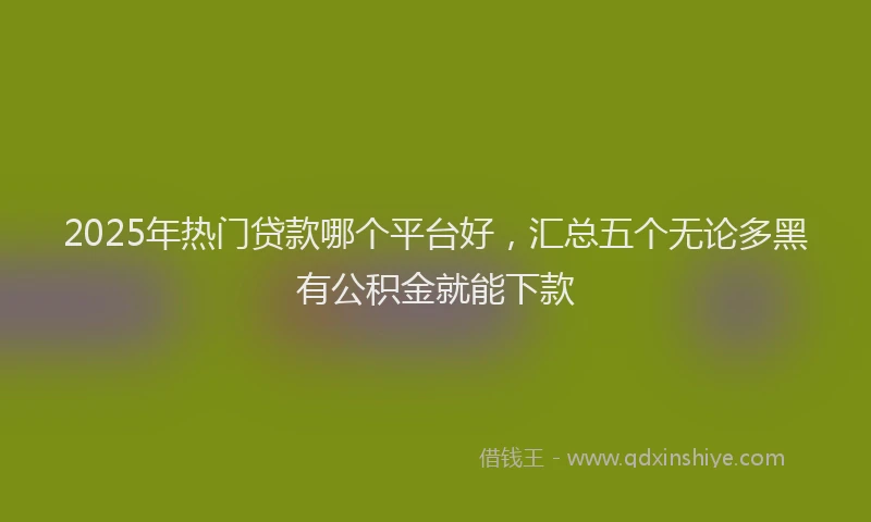 2025年热门贷款哪个平台好，汇总五个无论多黑有公积金就能下款