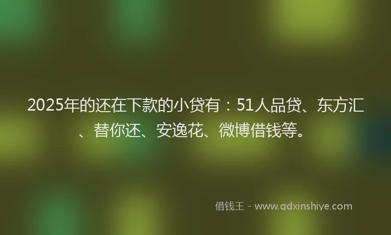 2025年的还在下款的小贷有：51人品贷、东方汇、替你还、安逸花、微博借钱等。