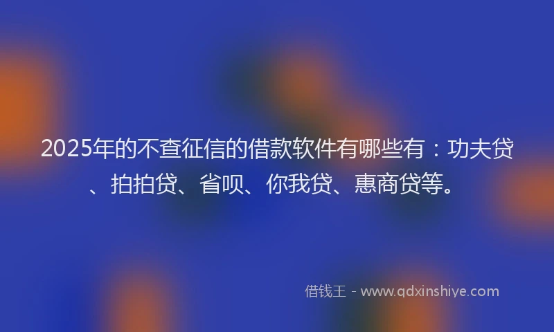 2025年的不查征信的借款软件有哪些有：功夫贷、拍拍贷、省呗、你我贷、惠商贷等。