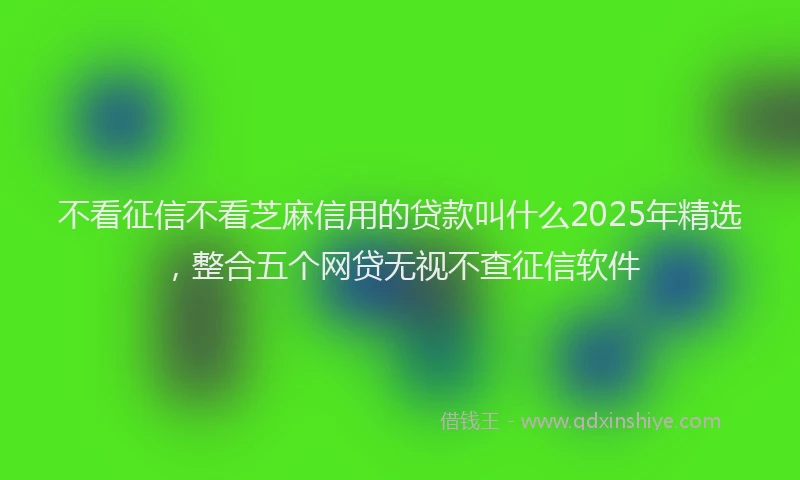 不看征信不看芝麻信用的贷款叫什么2025年精选，整合五个网贷无视不查征信软件