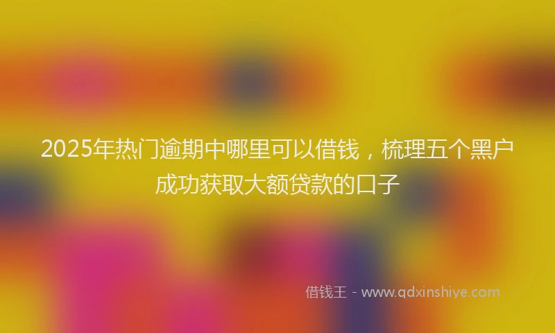 2025年热门逾期中哪里可以借钱，梳理五个黑户成功获取大额贷款的口子