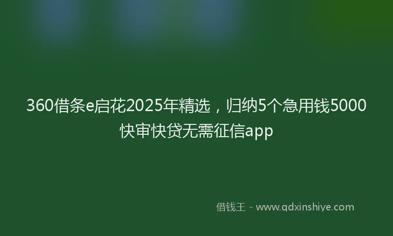 360借条e启花2025年精选，归纳5个急用钱5000快审快贷无需征信app