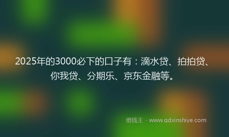 2025年的3000必下的口子有：滴水贷、拍拍贷、你我贷、分期乐、京东金融等。
