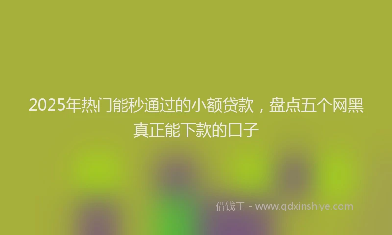 2025年热门能秒通过的小额贷款，盘点五个网黑真正能下款的口子
