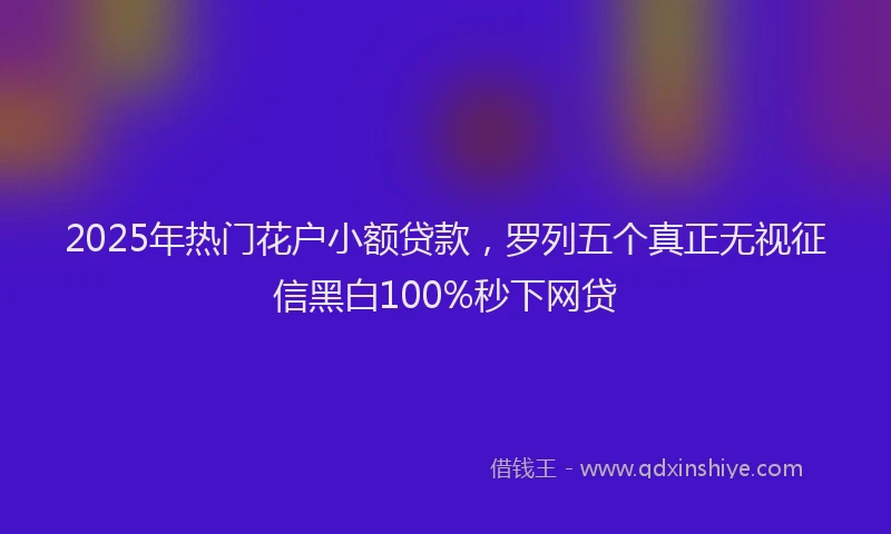 2025年热门花户小额贷款，罗列五个真正无视征信黑白100%秒下网贷